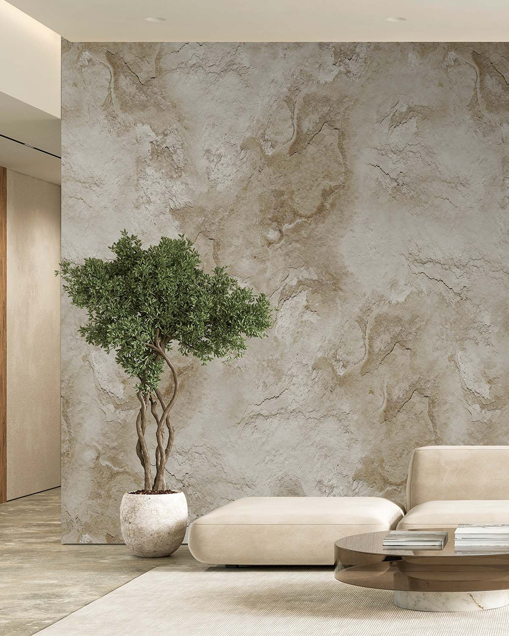 Agate Grey Stone Distressed Plaster Residential Mural RM9304