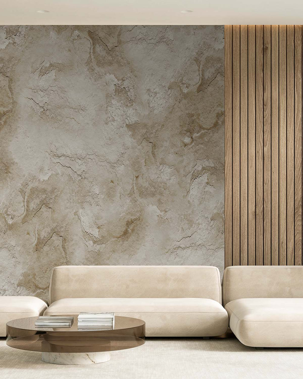 Agate Grey Stone Distressed Plaster Residential Mural RM9304