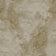Aldabra Beige (this color)