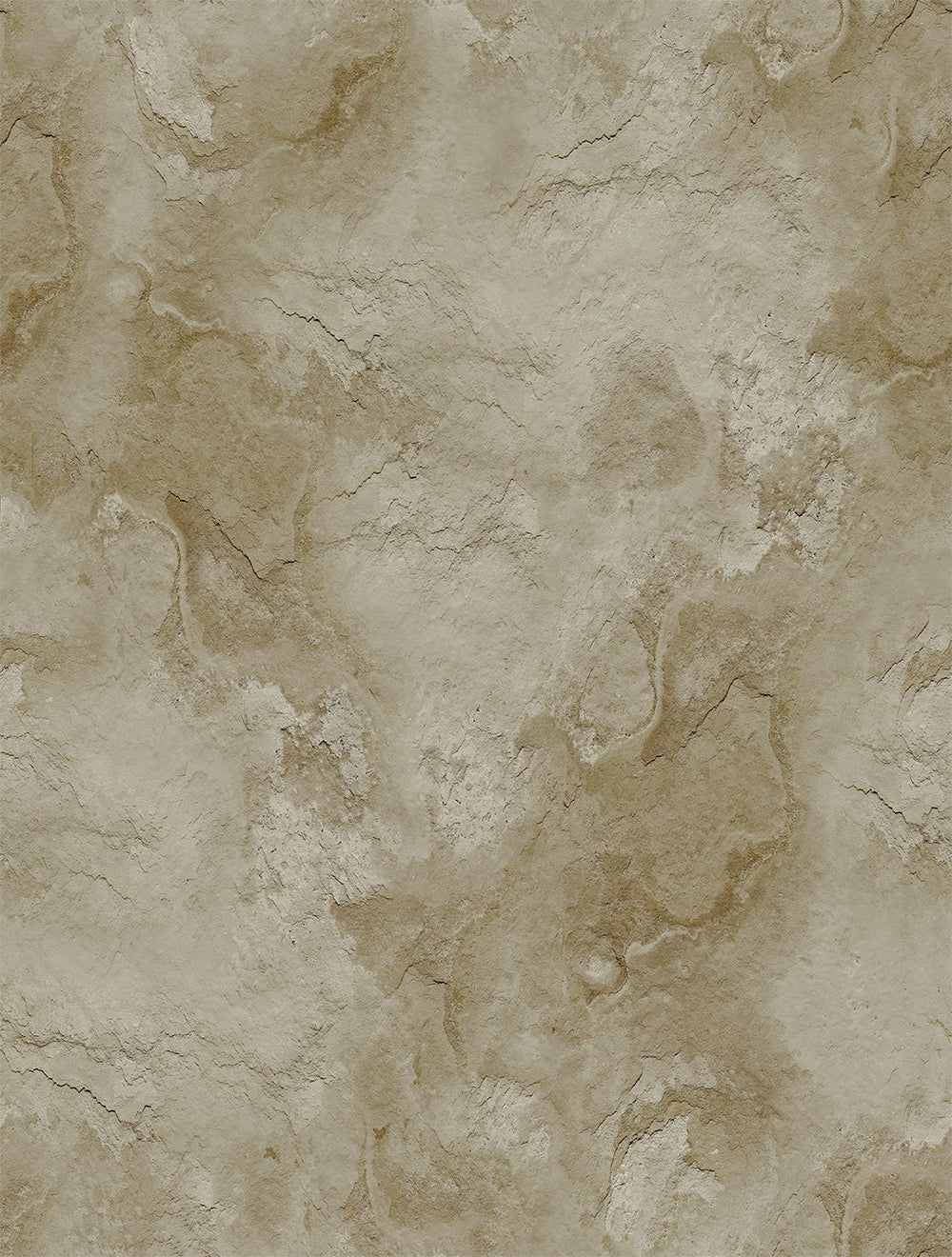 Aldabra Beige Stone Distressed Plaster Residential Mural RM9305