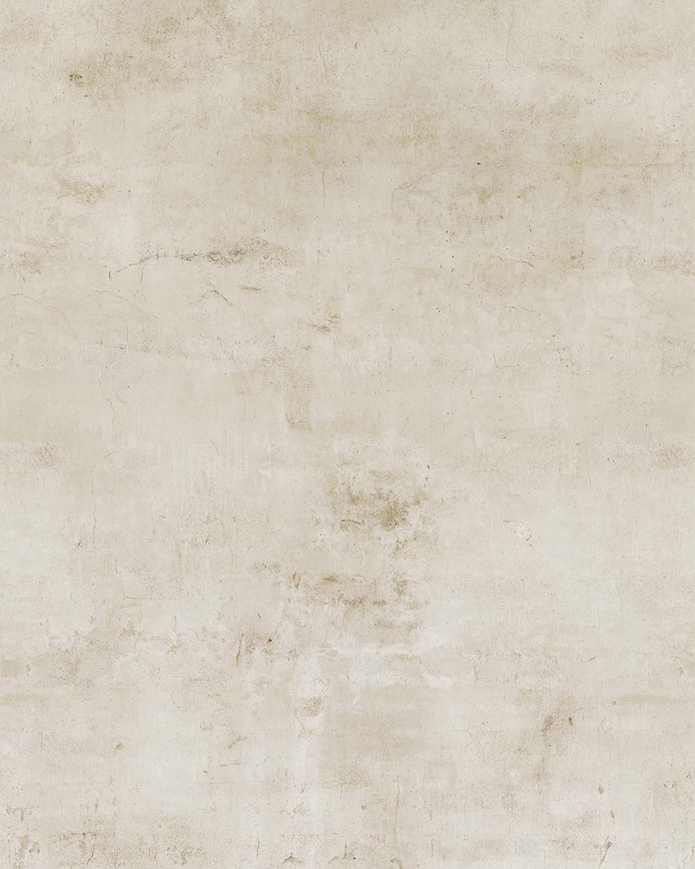 Oyster Grey Limewash Faux Texture Residential Mural RM9308