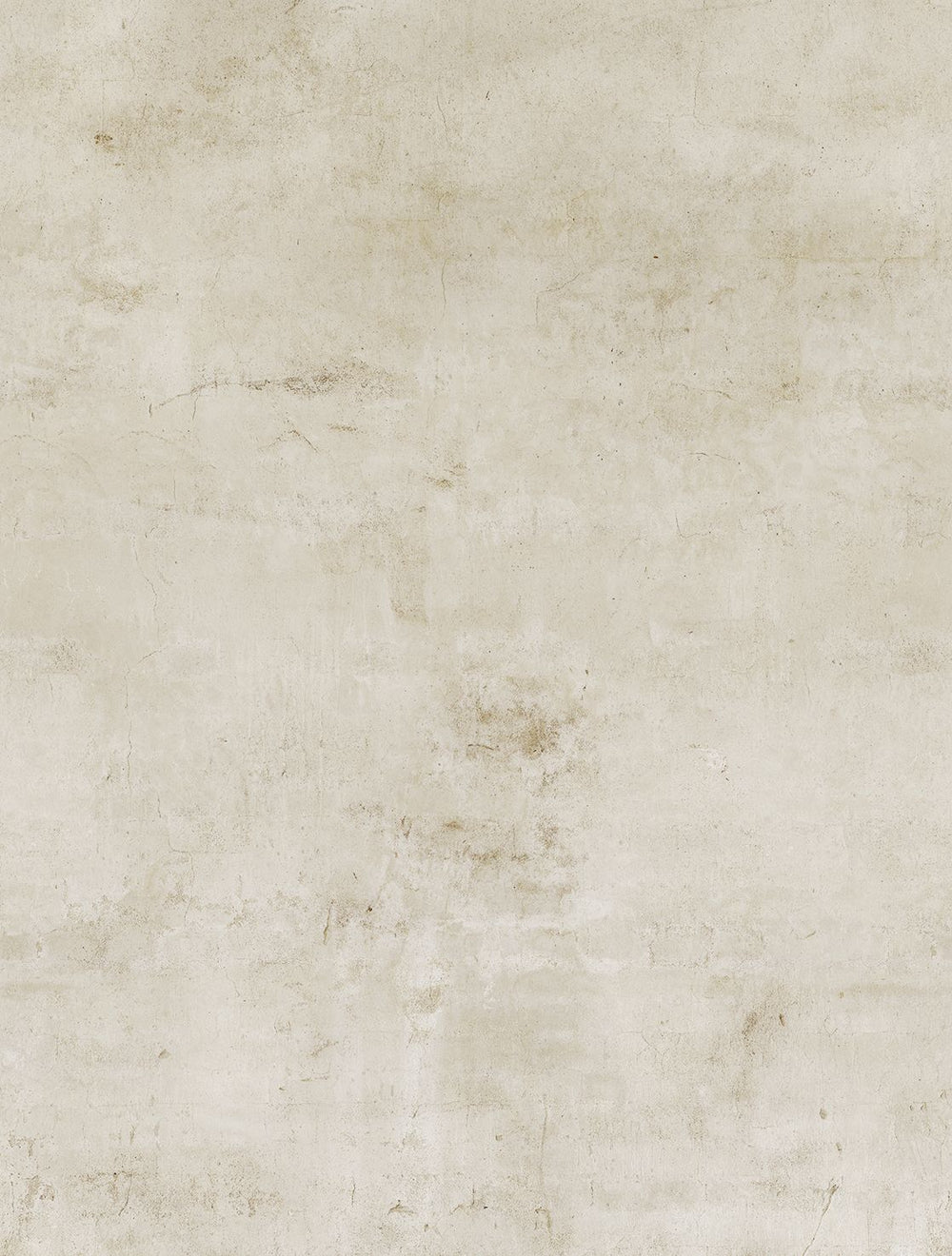 Oyster Grey Limewash Faux Texture Residential Mural RM9308