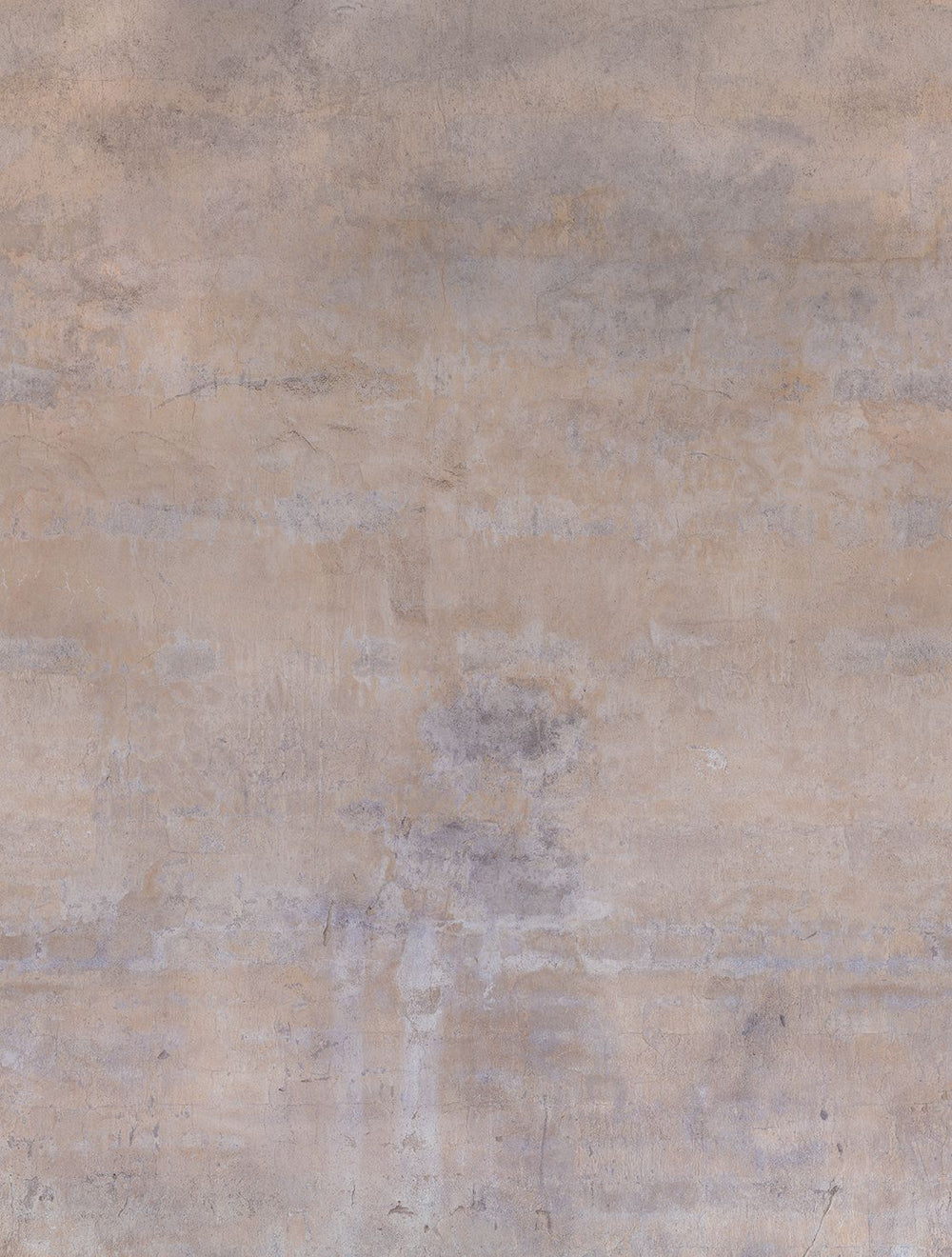 Sorrell Brown Limewash Faux Texture Residential Mural RM9310