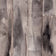 Tassel Taupe (this color)