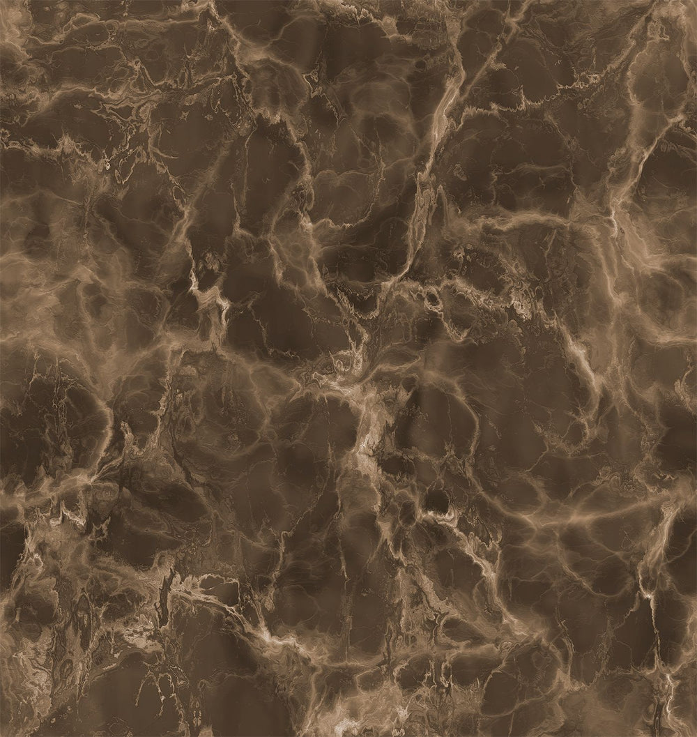 Harpy Brown Seamless Marble Residential Mural RM9317