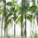 Hinterlands Green