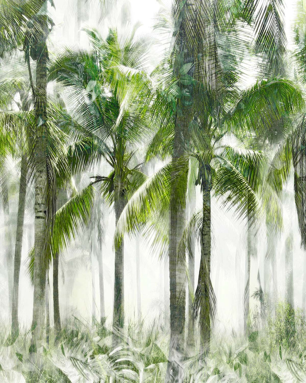 Hinterlands Green Misty Palm Grove Residential Mural RM9324