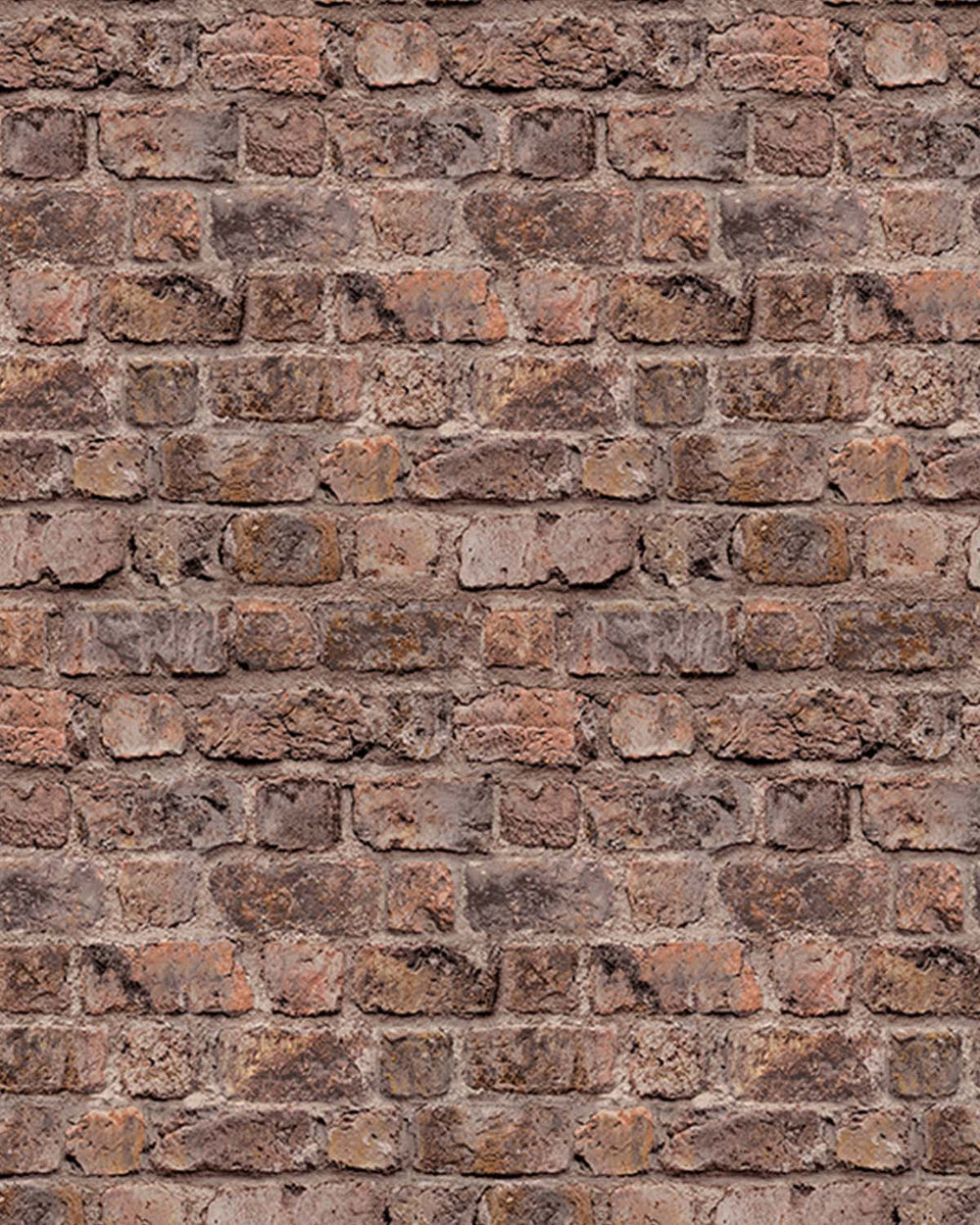 Indian Reed Rustic Faux Brick Residential Mural RM9326