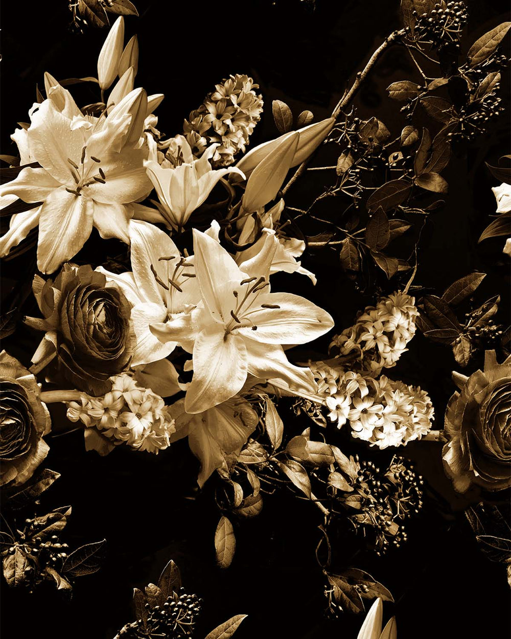 Ochre Brown Nocturnal Garden  Residential Mural RM9359