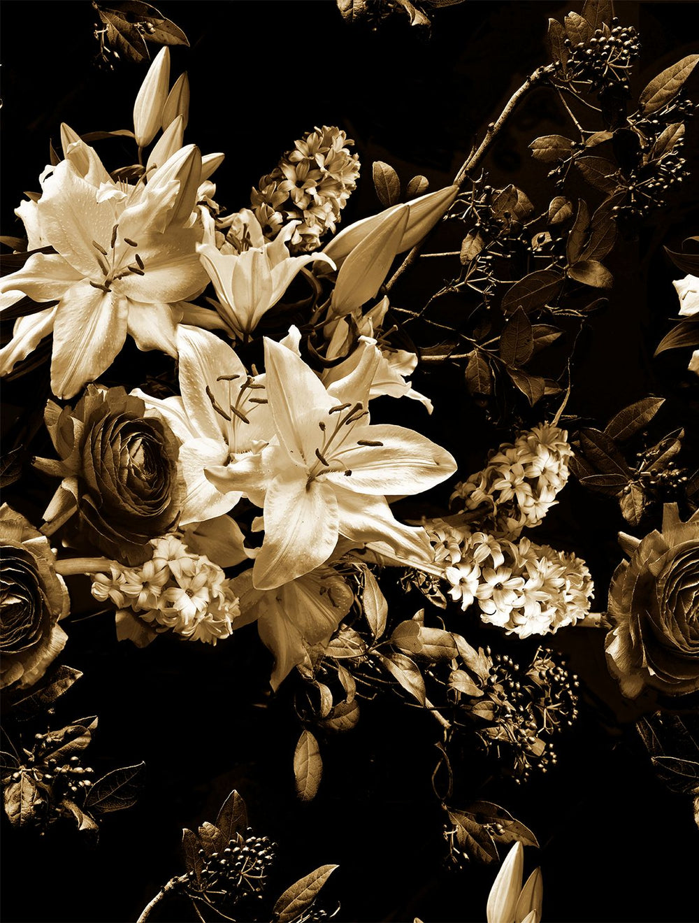 Ochre Brown Nocturnal Garden  Residential Mural RM9359