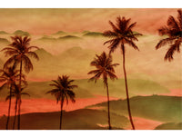 Red Summer sunset in palm Grove Mural Wallpaper M1262