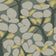 Sage