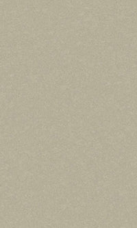 Sand Storm Wine Plain Vinyl Wallpaper C7589
