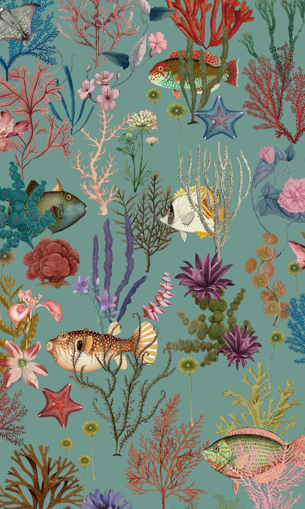 Soft Aqua Ocean with Fishes and Corals Wallpaper R9014