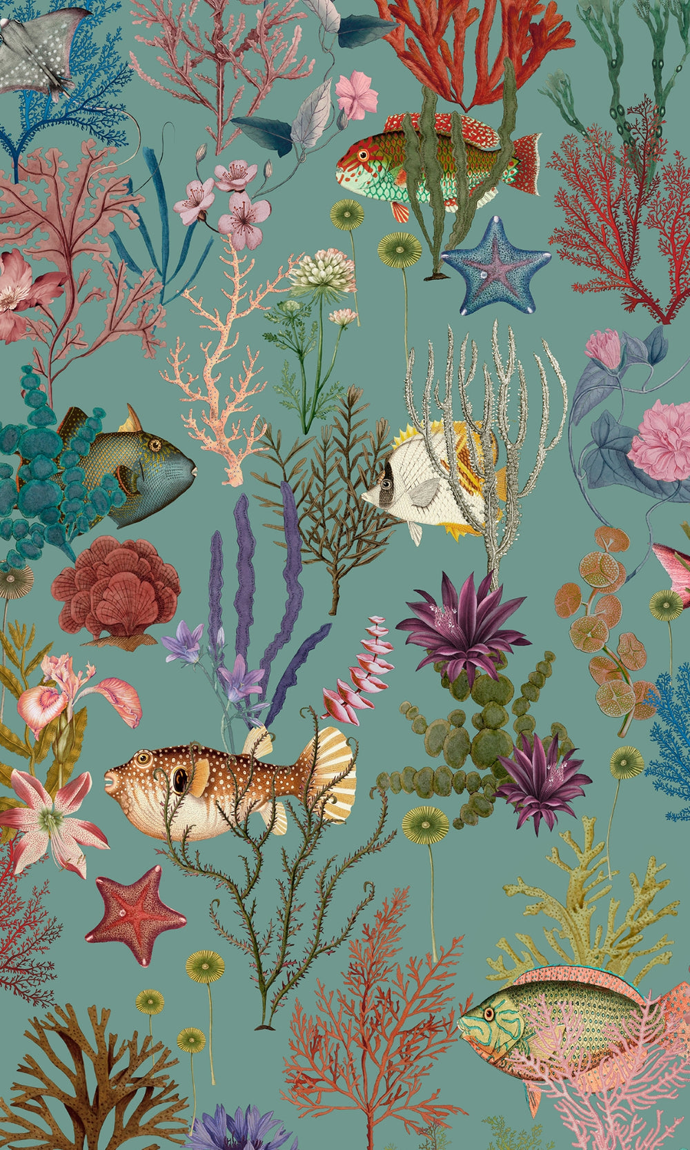 Soft Aqua Ocean with Fishes and Corals Wallpaper RM9014