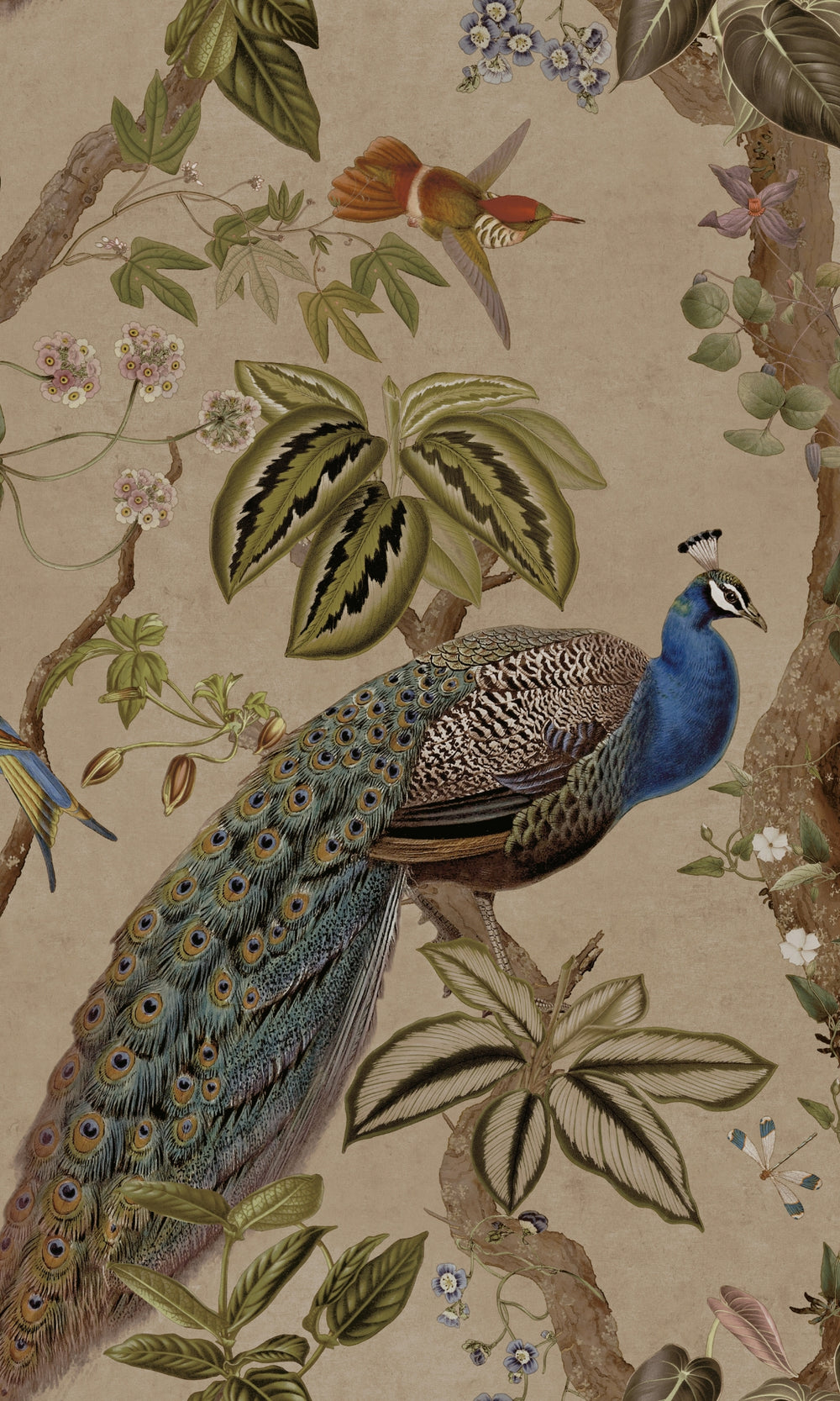 Taupe Climbing Peacock & Climbing Florals Tropical Wallpaper R8987