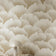 Taupe Coral