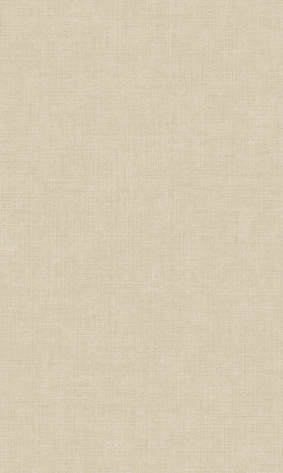 Taupe Plain Textured Wallpaper R9231