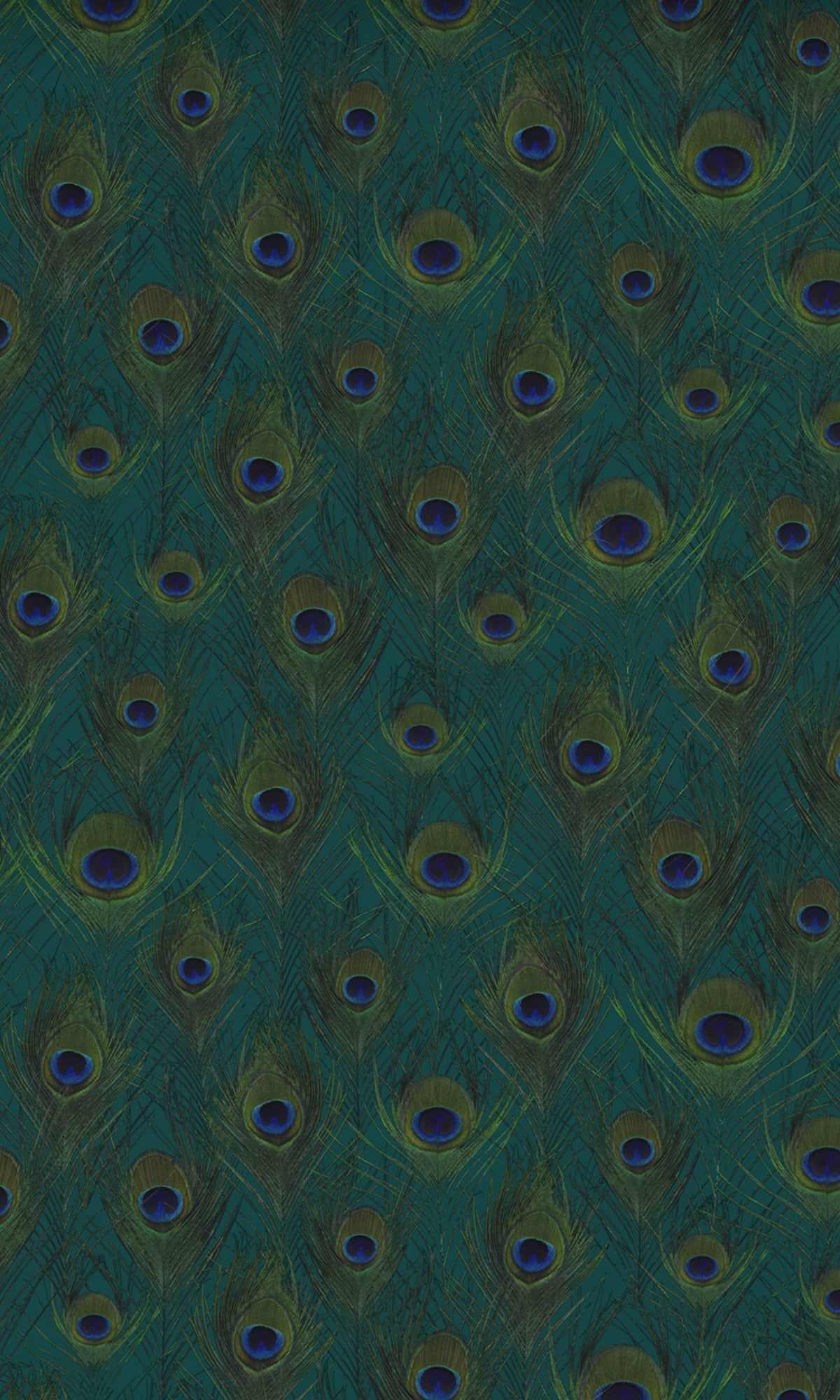 Teal Peacock Wings Animal Print Wallpaper R8298 Walls Republic US