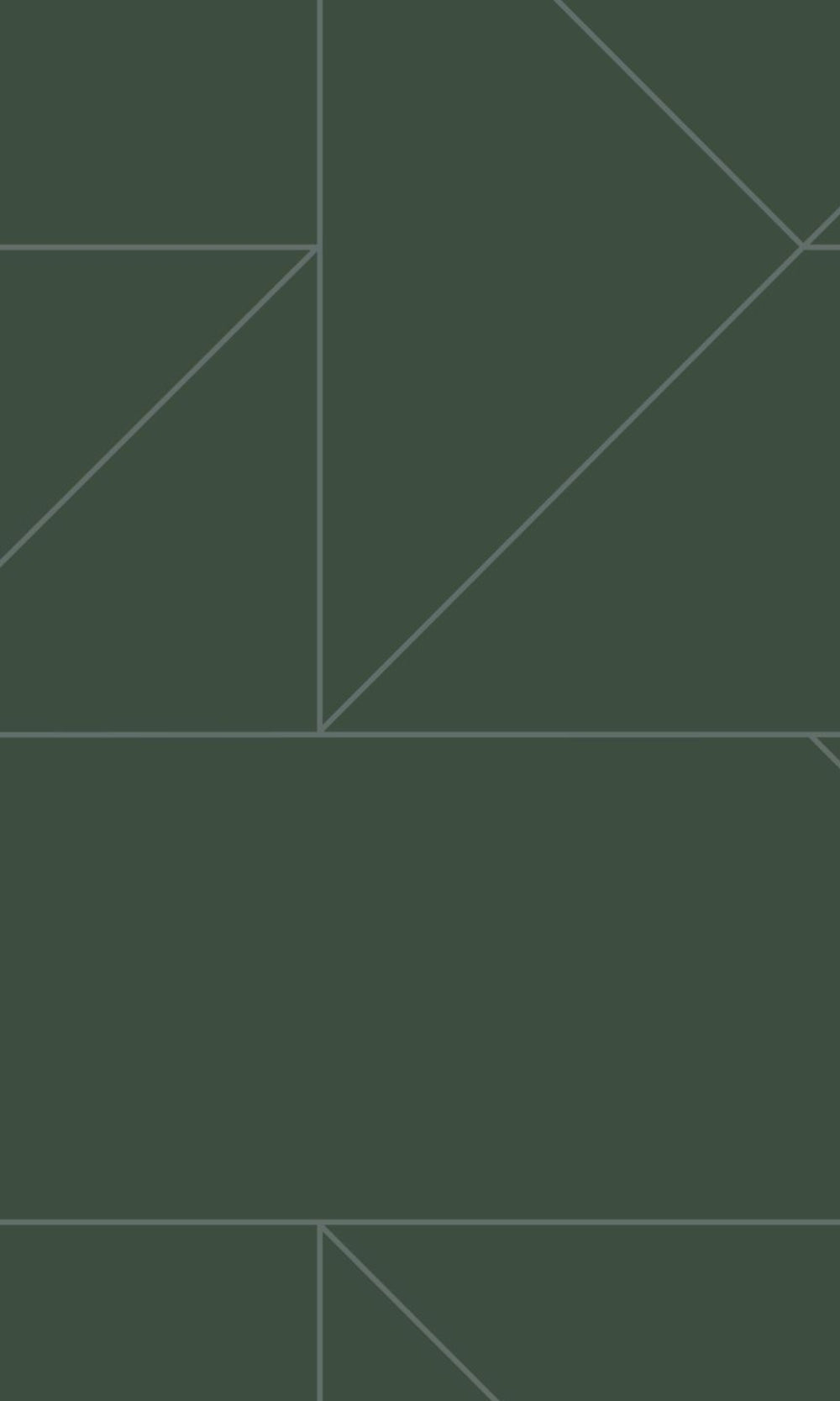 Turf Green Graphic Line Geometric Wallpaper  R8347