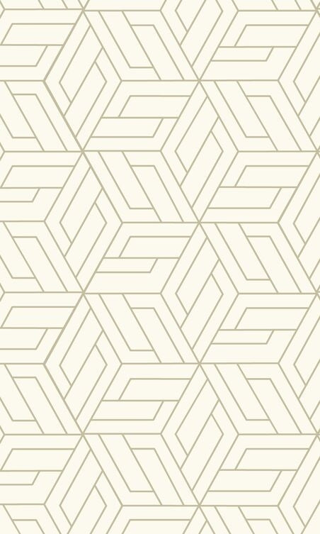 White Abstract Geometric Interlink Wallpaper R9285