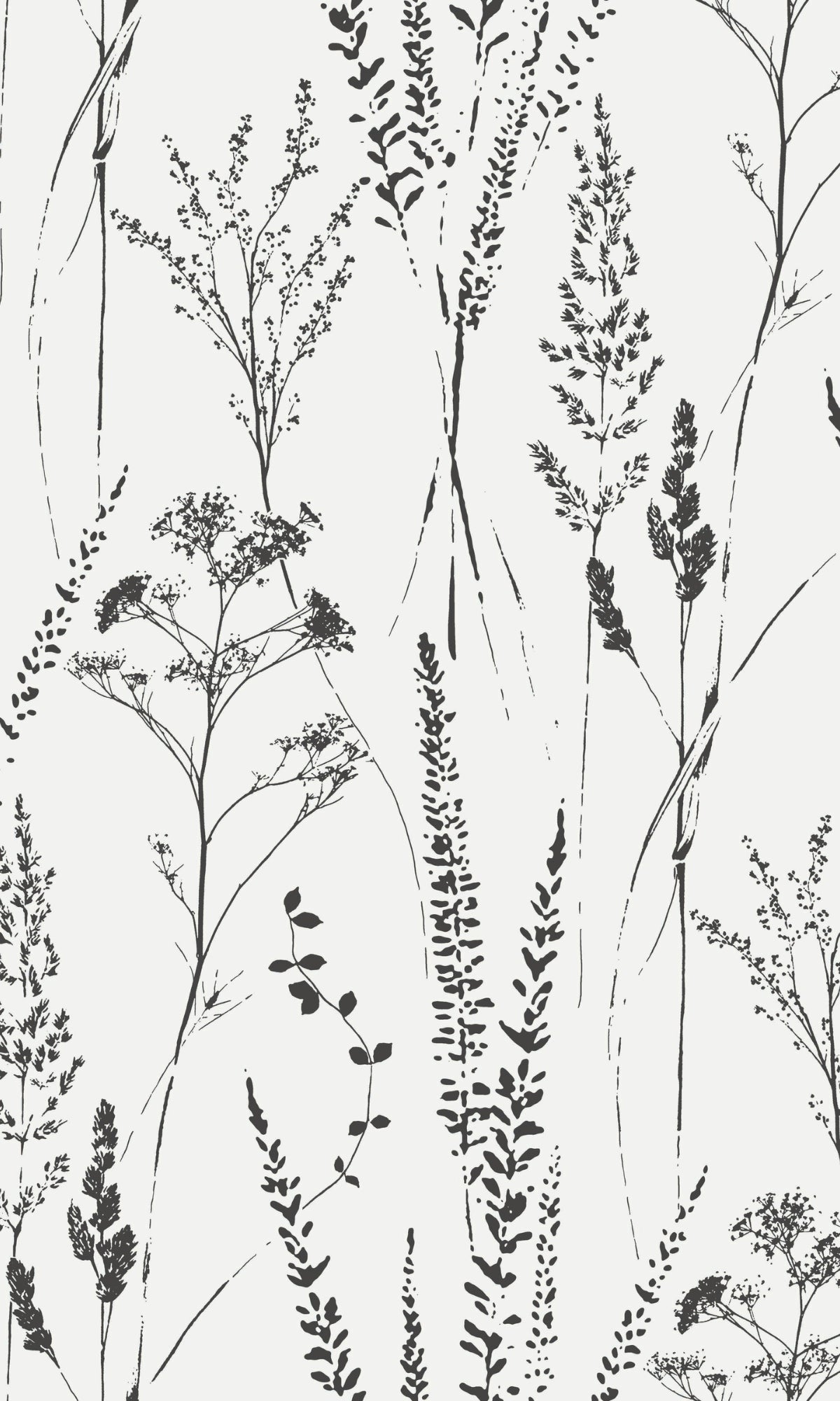 White Meadow Grasses Tropical Wallpaper R9330