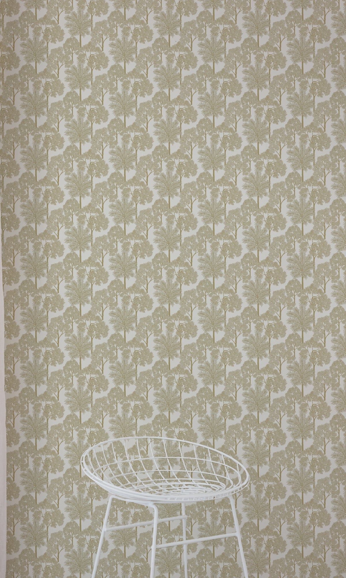White Palm Forest Tropical Wallpaper R9237