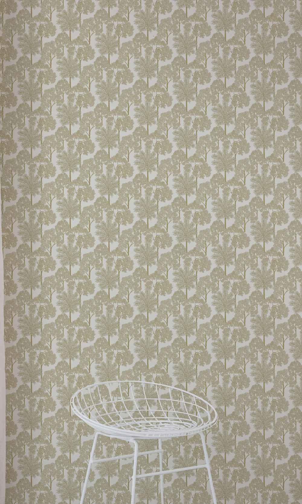 White Palm Forest Tropical Wallpaper R9237
