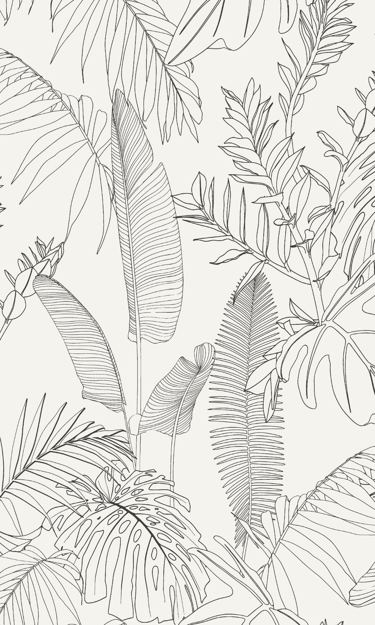 White Printed Tropical Leaves Botanical Wallpaper R9292
