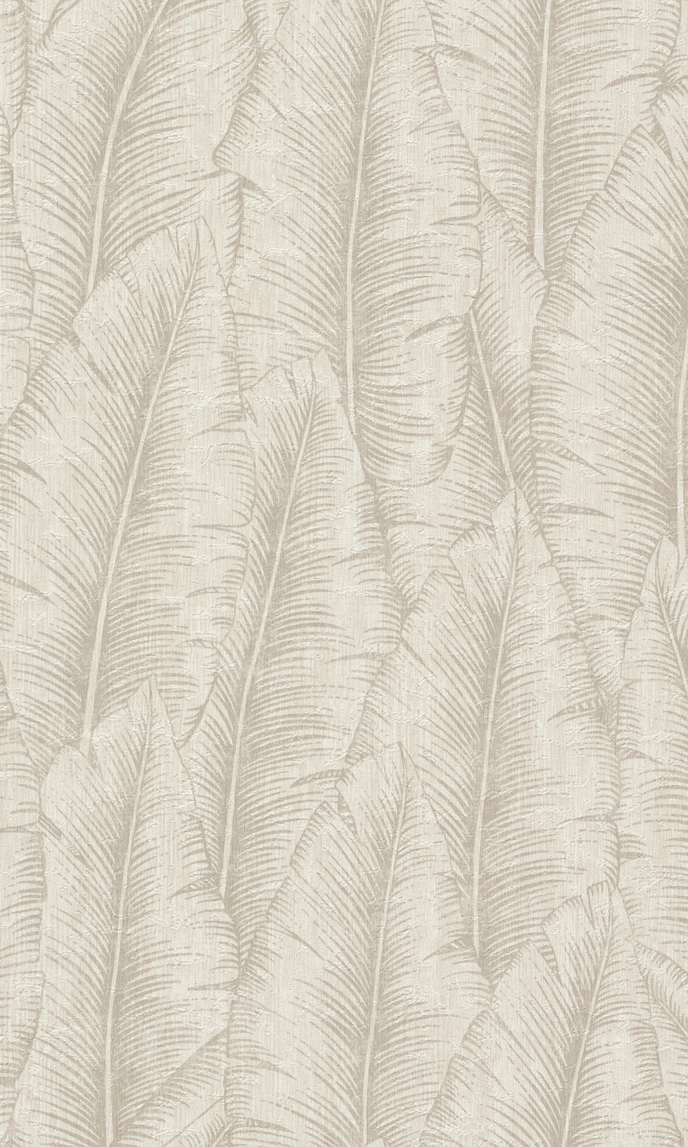 White Tropical Leaves Botanical Wallpaper R8729