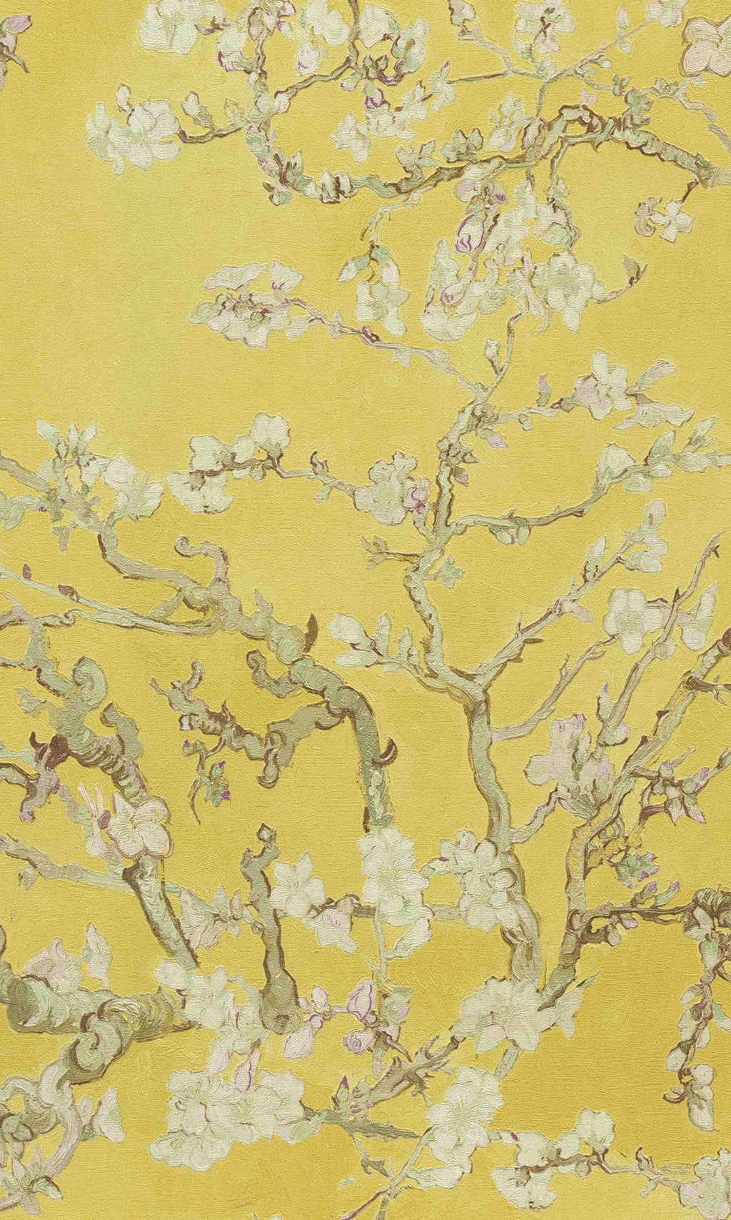 Yellow  Almond Blossom Floral Wallpaper R8485