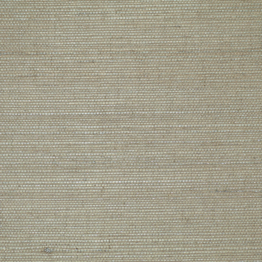 Metallic Grasscloth R2855