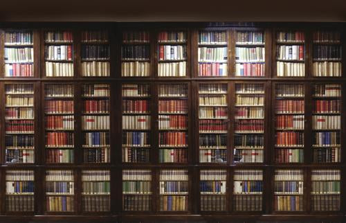 Library Mural Wallpaper M9033 | Vintage Wallpaper