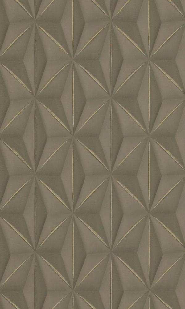 Brown & Gold Delusional Geometric Wallpaper R2925