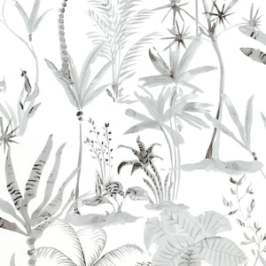 Natural Desert Tropics White And Grey Wallpaper R4197