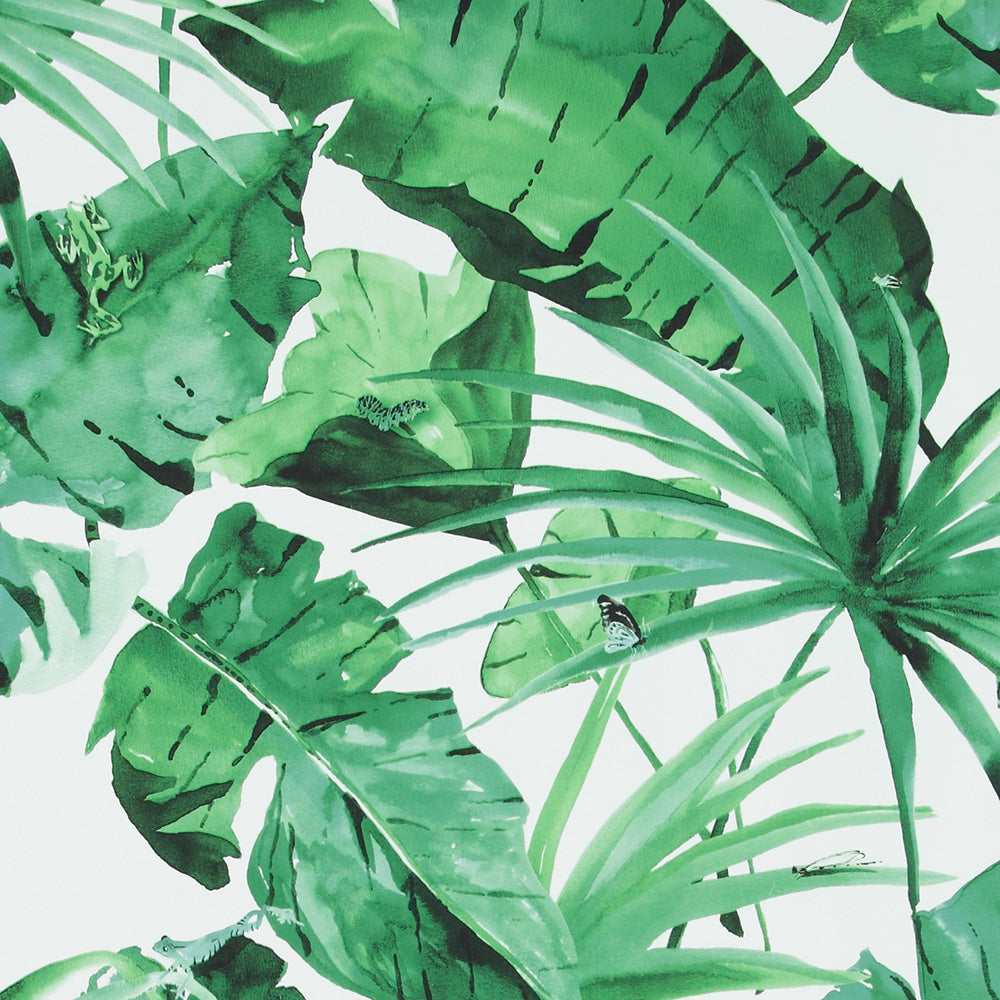 Tropical Natural Green And White Leaves Wallpaper R4191