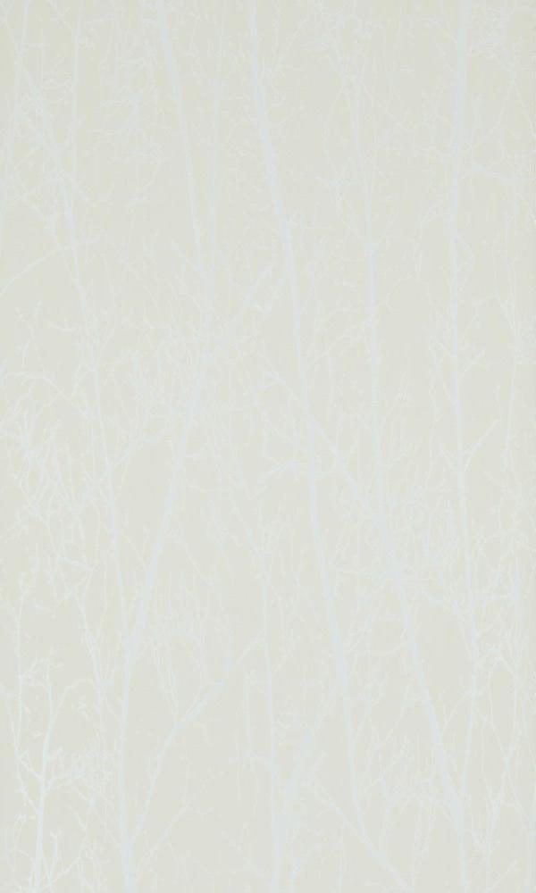 Beige Contemporary Winter Trees Wallpaper R4098. Beige Wallpaper. Non-woven wallpaper. Botanical wallpaper. Nature wallpaper.  Textured wallpaper.