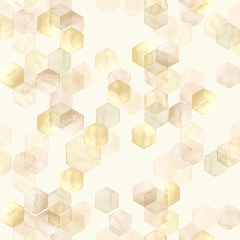 Hexagonal Watercolors 19553