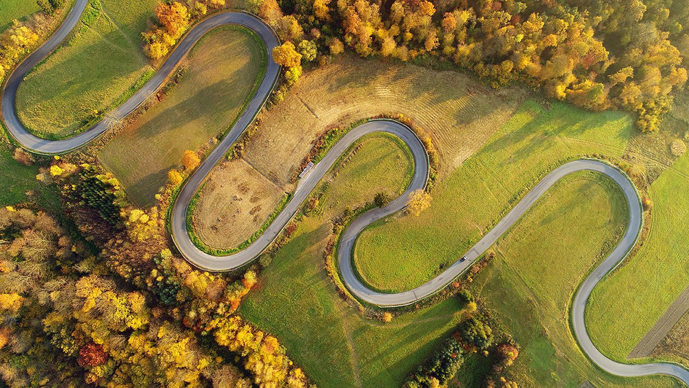 Concrete Snake Mural Wallpaper M9402 - Sample