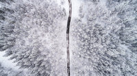 Driving Through Winter Forest Grey Mural M9404 - Sample