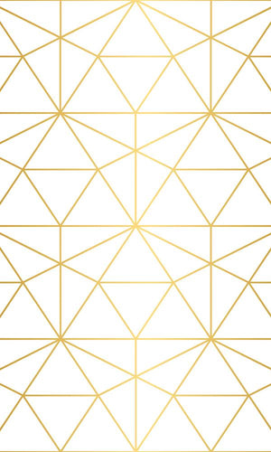 Gold Mesh Geometric Mural Wallpaper M9432. Customized wallpaper. Murals wallpaper. Digital wallpaper. Geometric wallpaper