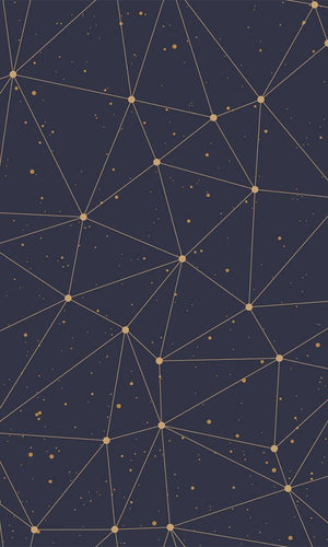 Connect the Dots Black Mural M9439 | Digital Art Wallpaper