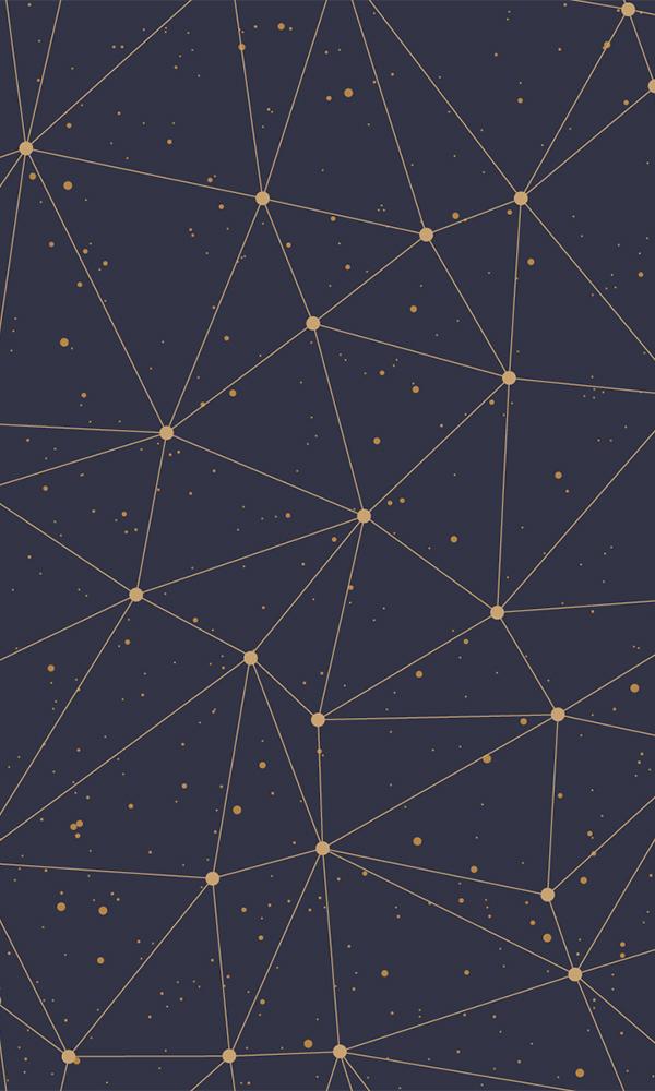 Connect the Dots Black Mural M9439 | Digital Art Wallpaper