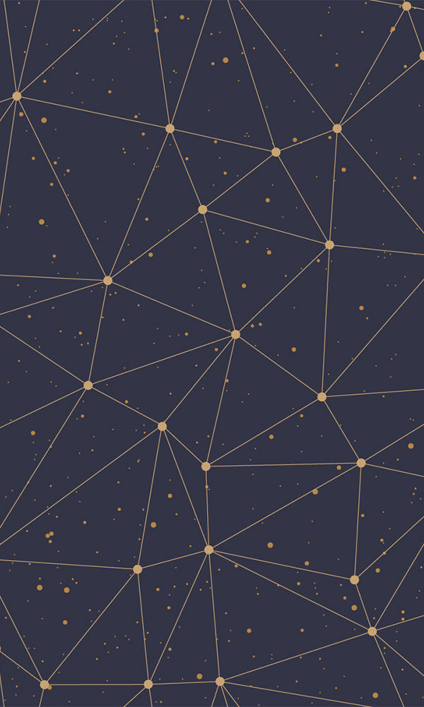 Connect the Dots Black Mural M9439 | Digital Art Wallpaper