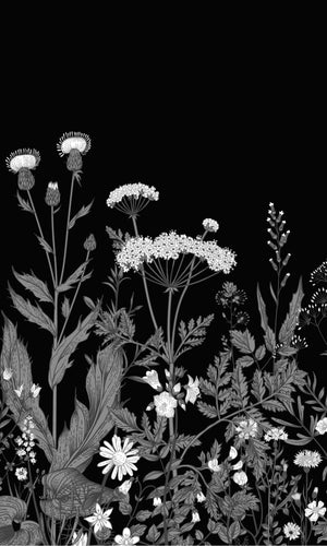Black Illustrated Blooming Flowers Mural  M9443 | Digital Wallpaper