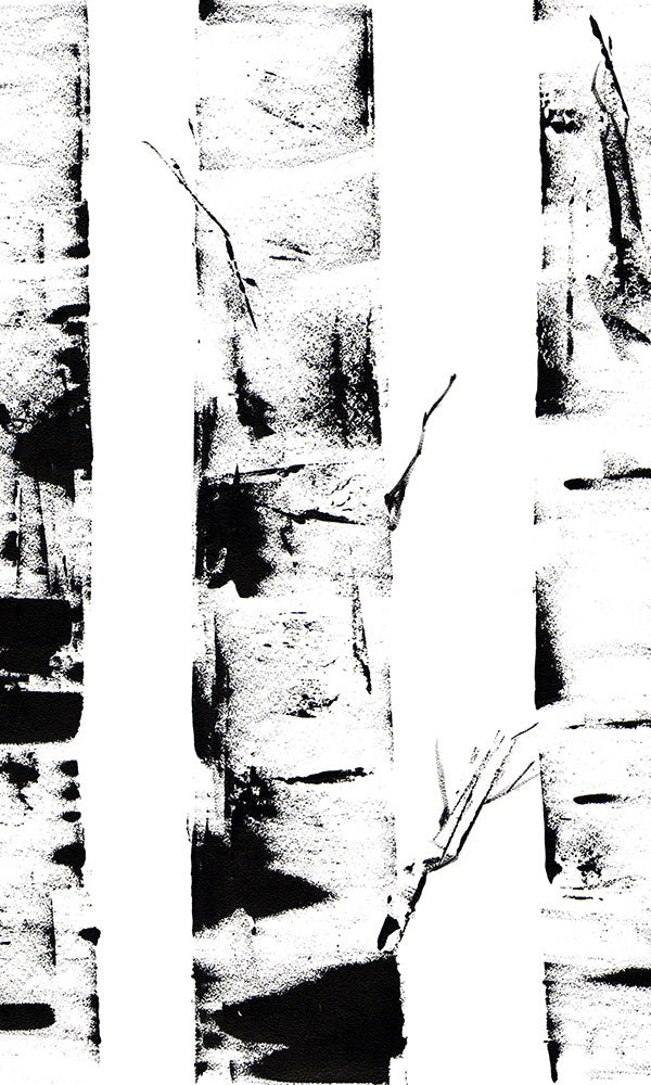 Ink Birch Trunks Wall Mural M9451