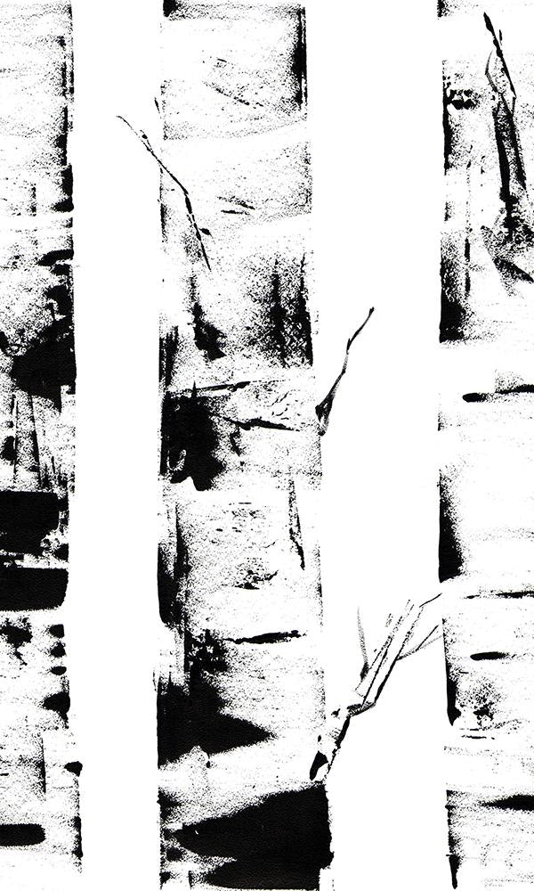 Ink Birch Trunks Wall Mural M9451