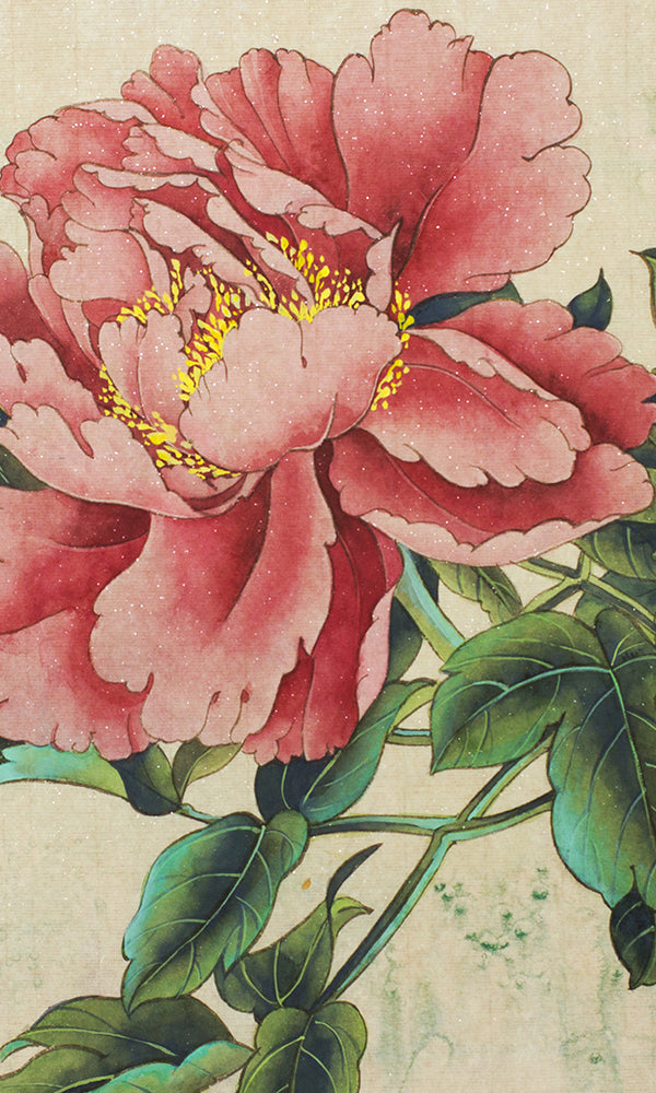 Pink Japanese Blooming Peony Mural Wallpaper M9454