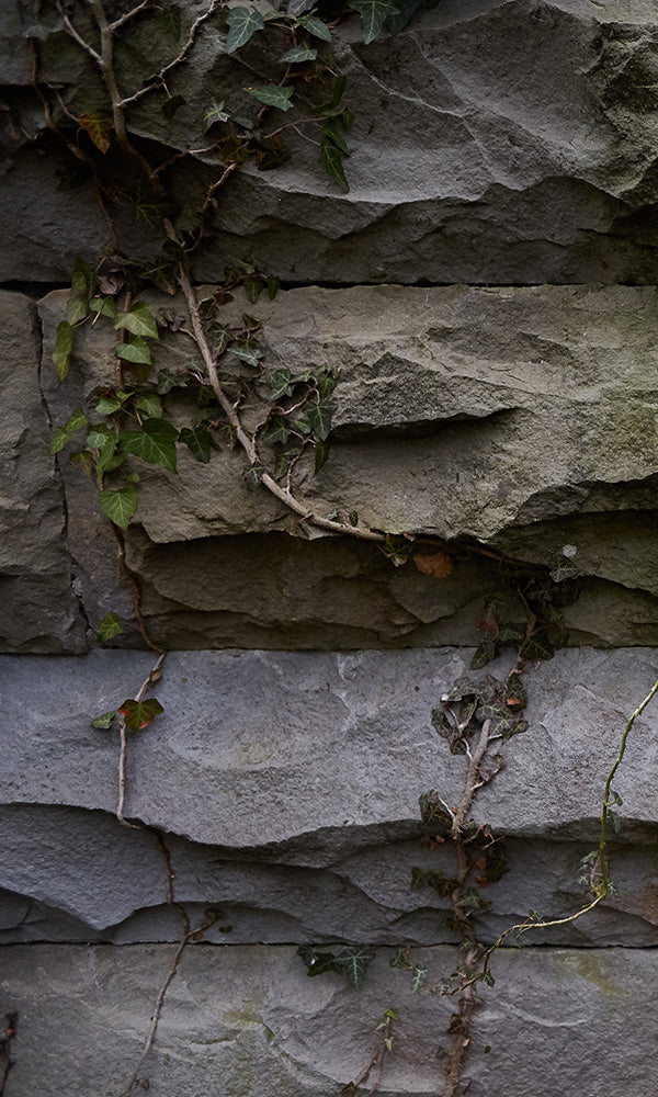 overgrowth living wall stone wallpaper mural