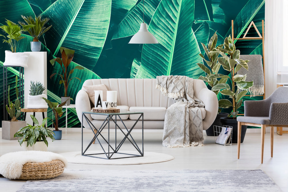 overgrowth large banana leaf tropical jungle wallpaper mural